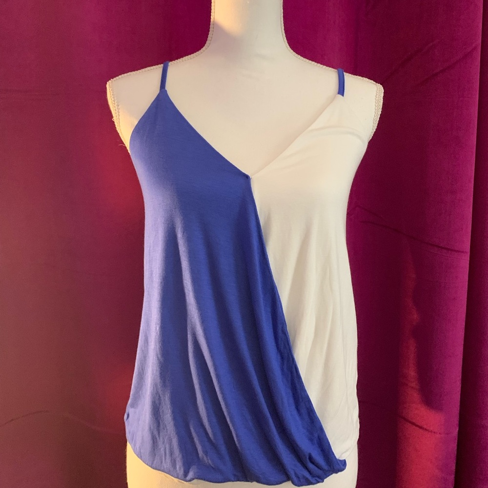 Size S Venus top. Never worn. Cute blue and white top.